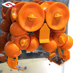 Grace Juice Extractor inside