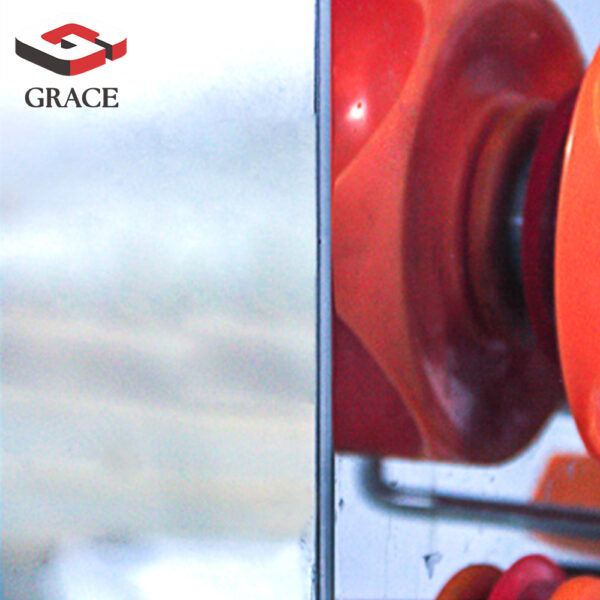 Grace Juice Extractor