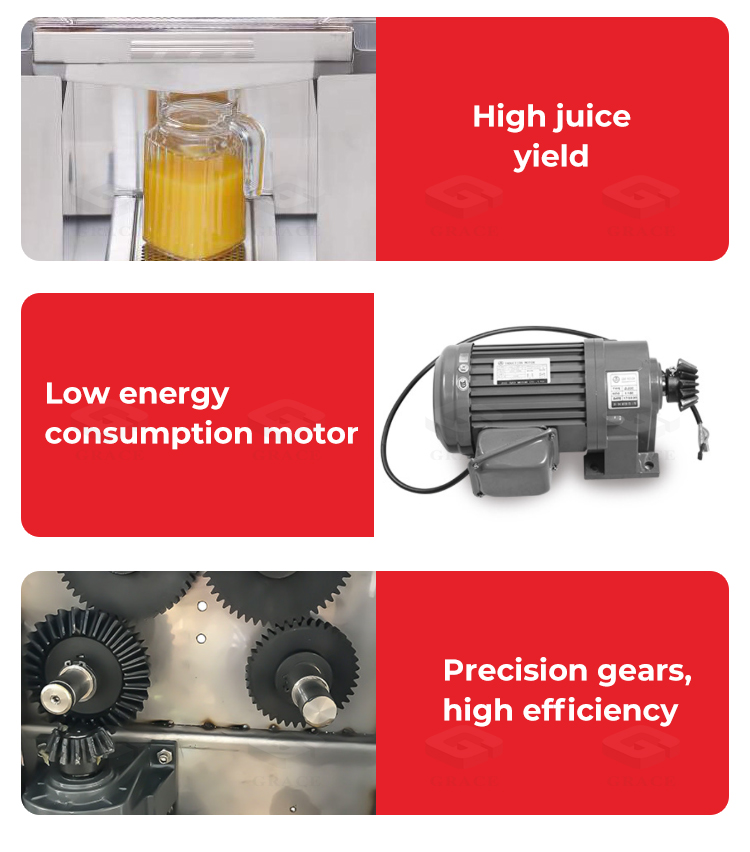 Grace Juice Extractor details 2